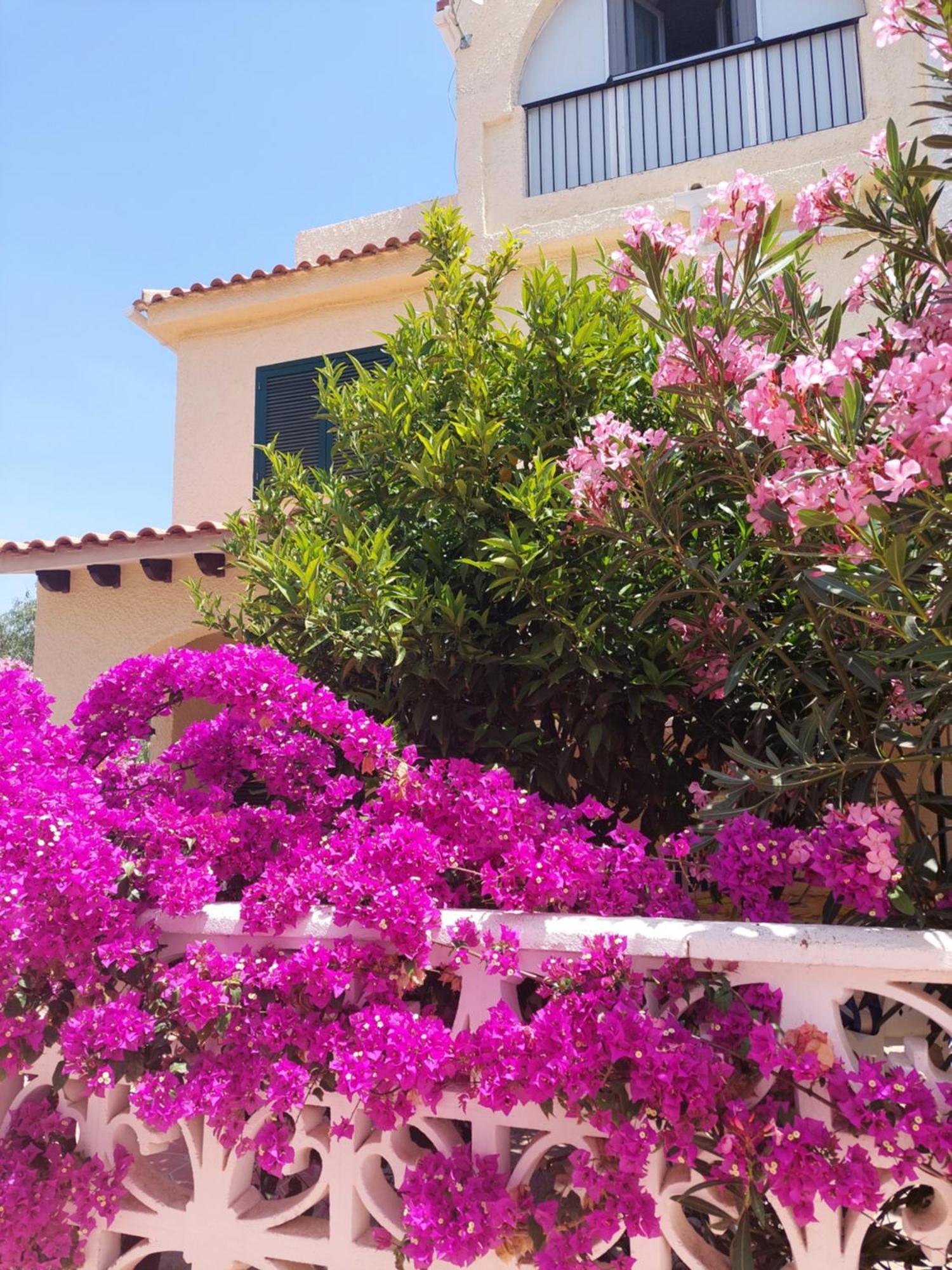 Haus Am Meer Torrevieja Exteriör bild